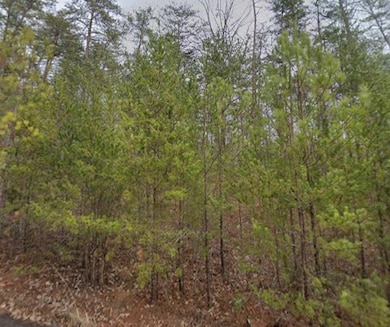 18 Skyline Dr, Braswell, GA 30153 - photo 5