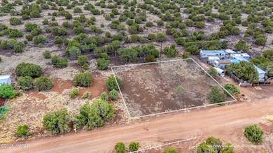 photo (6) 8427 Snowflake Cir Land Hunter