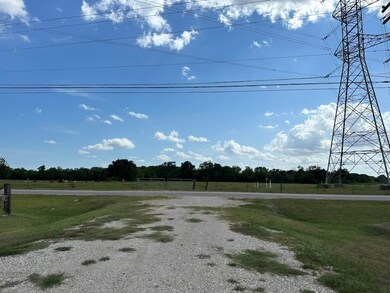 3874 County Road 145, Alvin, TX 77511 - photo 6