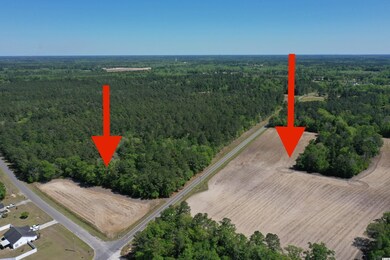 TBD Costie Allen Rd, Aynor, SC 29511 - photo 5