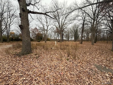 3073 W Dayton St, Flint, MI 48504 - photo 4