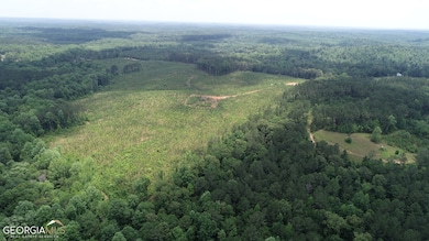 45+/- AC Noles Rd, Franklin, GA 30217 - photo 3