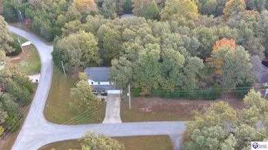 15 Catbird Rd, Brandenburg, KY 40108 - photo 6