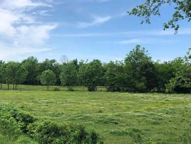 1310 Pickle Rd, Petersburg, TN 37144 - photo 3