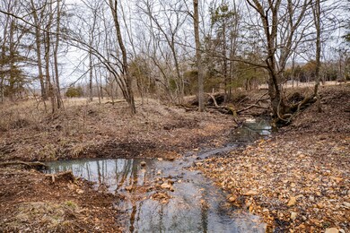 001 Highway H, Pleasant Hope, MO 65725 - photo 5