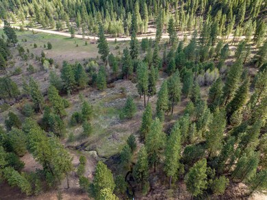 Lot 10 Star Creek Ct, Placerville, ID 83631 - photo 7