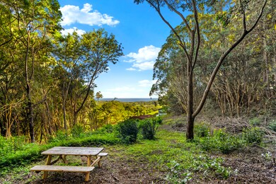 4650 Uha Rd, Lawai, HI 96765 - photo 3