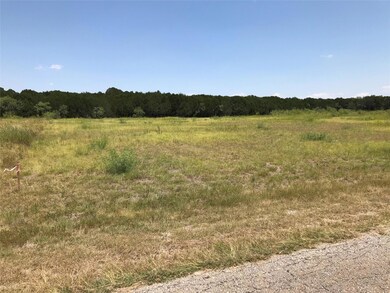 1745 Highland Dr, Whitney, TX 76692 - photo 7