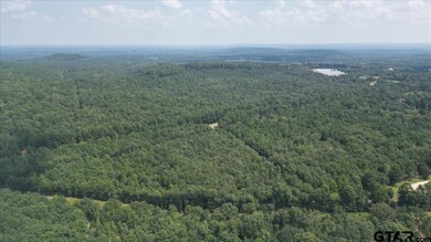 TBD Lot 4 Cactus Rd, Pittsburg, TX 75686 - photo 4