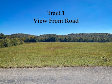 0 Narrows of the Harpeth Rd, Kingston Springs, TN 37082 - photo 5