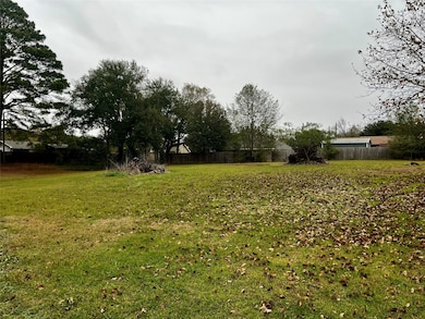 1410 Center St, Grand Saline, TX 75140 - photo 3