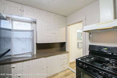 727 S Magnolia Ave, Lansing, MI 48912 - photo 6