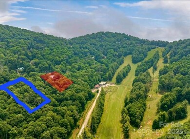 479 El Miner Dr, Mars Hill, NC 28754 - photo 2