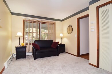 12012 Mohican Dr, Algonquin, IL 60102 - photo 6