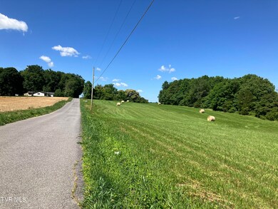IMG_1512