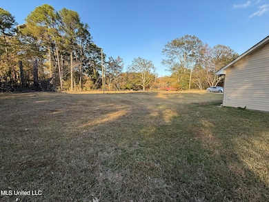 4545 Tom Collins Rd, Utica, MS 39175 - photo 5