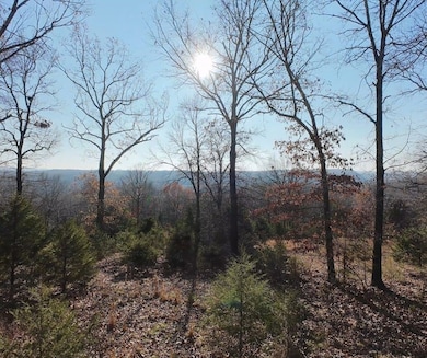 2465 Denton Ferry Rd, Cotter, AR 72626 - photo 4