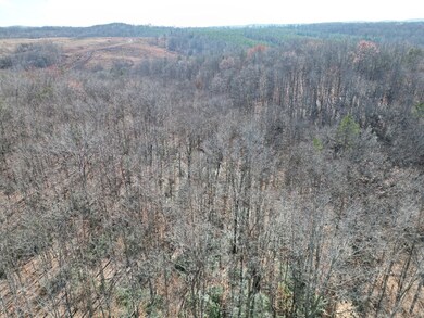 1275 Salem Rd, Schuyler, VA 22969 - photo 6