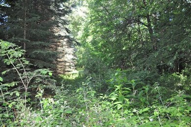 10014 Huron Creek Dr, Dexter, MI 48130 - photo 2