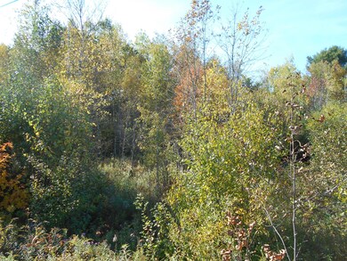 DSCN0020