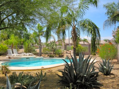 desert oasis