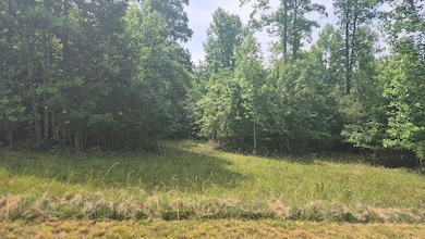 1255 Cherokee Path, Jasper, TN 37374 - photo 5