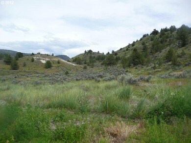 0 Colony Ln, Monument, OR 97864 - photo 7