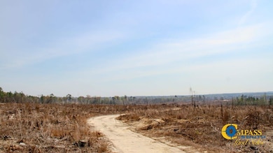 0 Prosser Rd unit 25510401, Deepstep, GA 31082 - photo 5