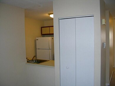 Kitchen. View from living room with storage closet