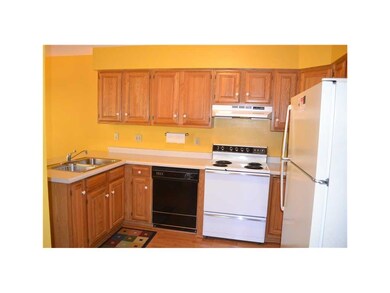 Kitchen. Plenty of cabinet and counterspace in kit