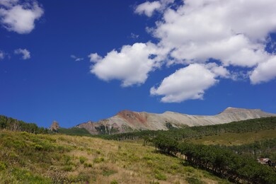 DSC03502