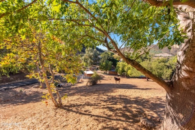 356 E Carlisle Rd, Thousand Oaks, CA 91361 - photo 7