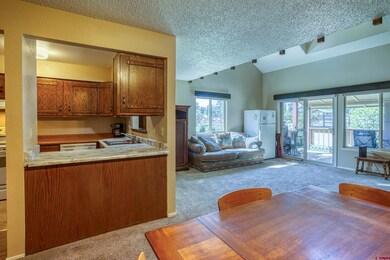 217 Pinon Causeway unit 3025, Pagosa Springs, CO 81147 - photo 7
