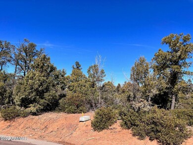 1985 S Twin Peak Trail unit 392, Show Low, AZ 85901 - photo 5