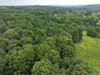 TBD Deer Run, Red Hook, NY 12571 - photo 7