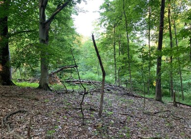 0 Montezuma Ln SE unit 222009038, Bremen, OH 43107 - photo 2