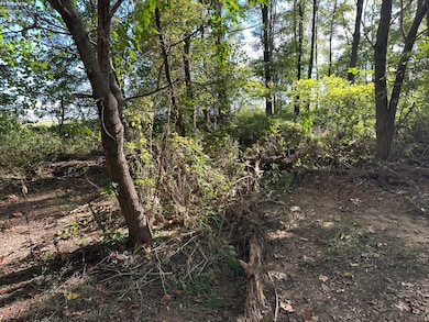 7320 Fenner Rd, Shelby, OH 44875 - photo 7