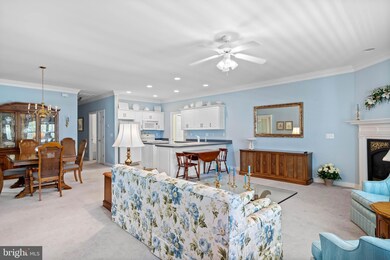 39 Frankenberry Dr, Georgetown, DE 19947 - photo 4