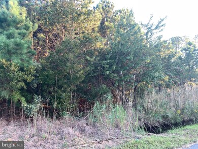 0 Wesley Church unit MDDO2000162, Toddville, MD 21672 - photo 5