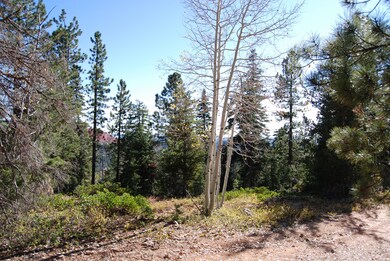 130 S Solitude Trail, Duck Creek Village, UT 84762 - photo 4