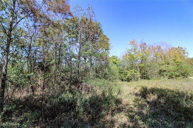 Lot 3 Moss Run Rd, Marietta, OH 45750 - photo 2