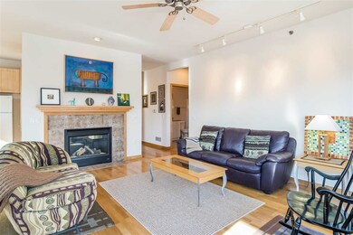 350 W Wilson St unit 204, Madison, WI 53703 - photo 7