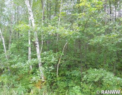 0 16th Ave unit 881556, Sumner Township, WI 54868 - photo 2