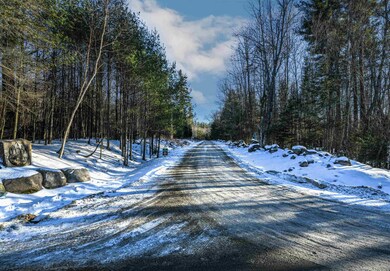 14 Bear Paw Trail unit 1-4, Littleton, NH 03561 - photo 4