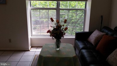 5136 Beauregard St, Alexandria, VA 22312 - photo 6