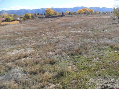 TBD Tucker Ln, Cortez, CO 81321 - photo 3