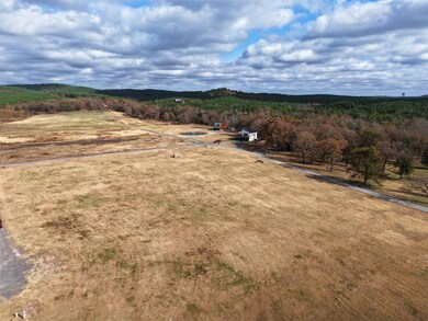 209 Rutty Pine, Broken Bow, OK 74728 - photo 6