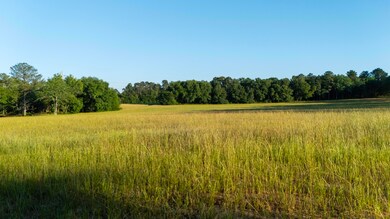 44-DJI_20250506190445_0013_D