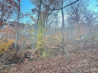 0 W Deaver Rd, McConnelsvle, OH 43756 - photo 5