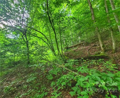 9999 Bent Creek Rd, Ramseytown, NC 28714 - photo 5